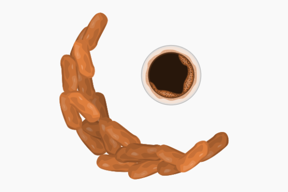 Dates Fruit in Crescent Shape and Coffee