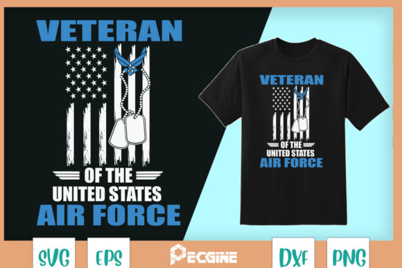 Veteran of the United States Air Force