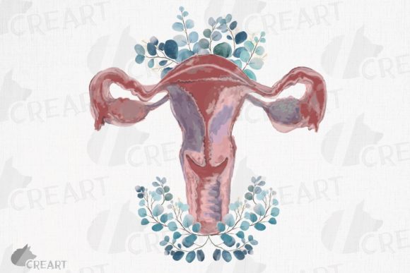 Watercolor Blush and Eucalyptus Uterus